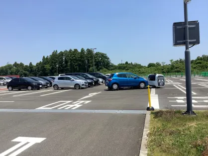 Casino Spice Bingo Application mobile